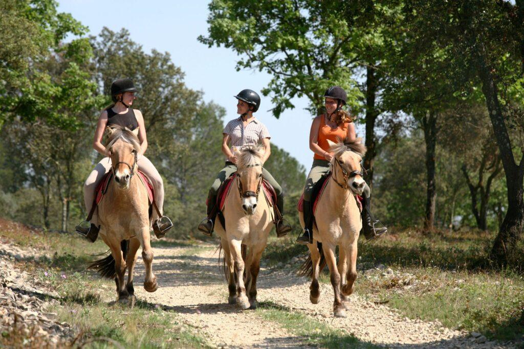three riders on horses enjoying relaxed trail ride through forest path showing leisure training atmosphere, equitation horses for sale